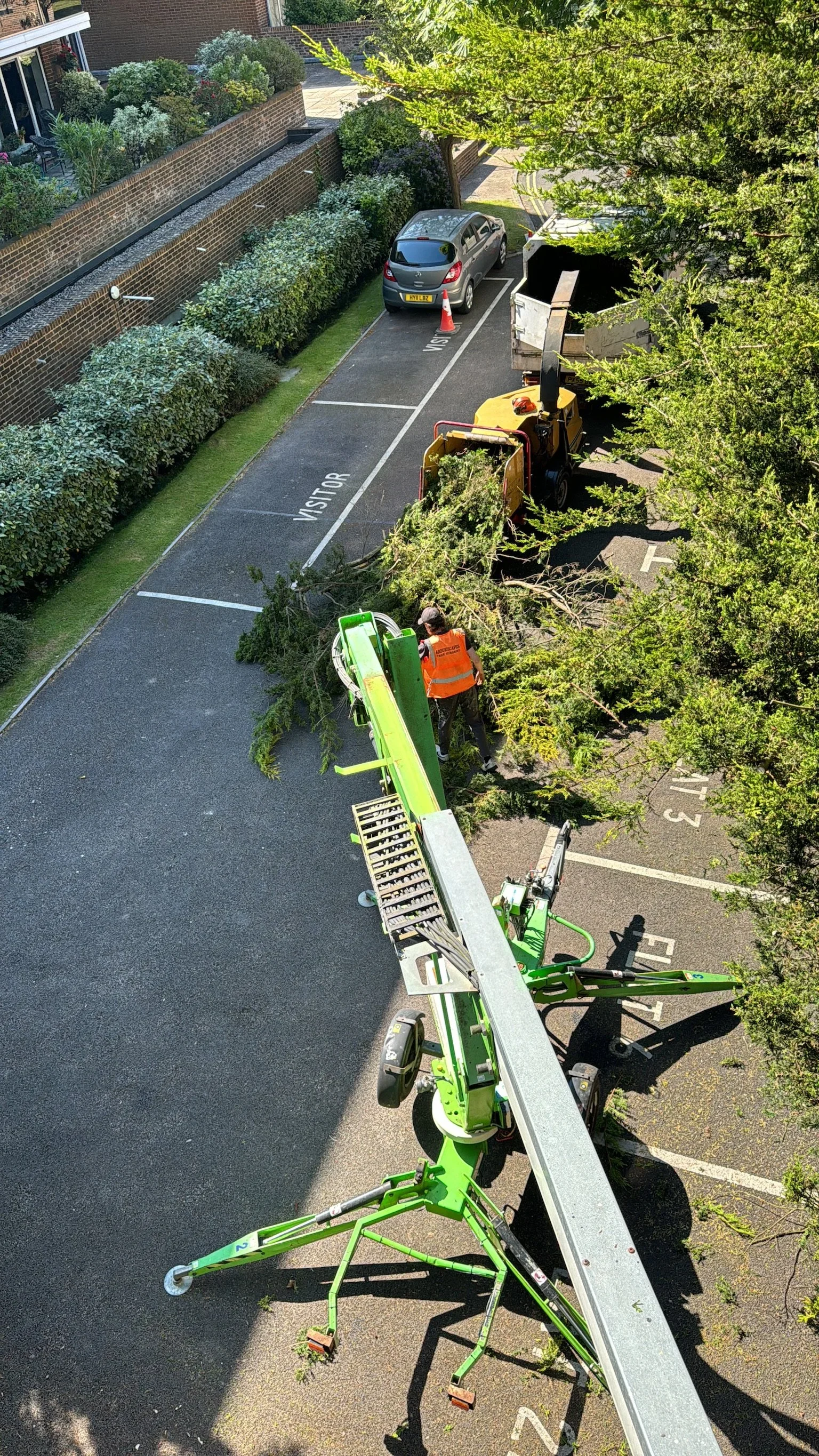 A cherry picker positioned beside mature trees during commercial tree work.