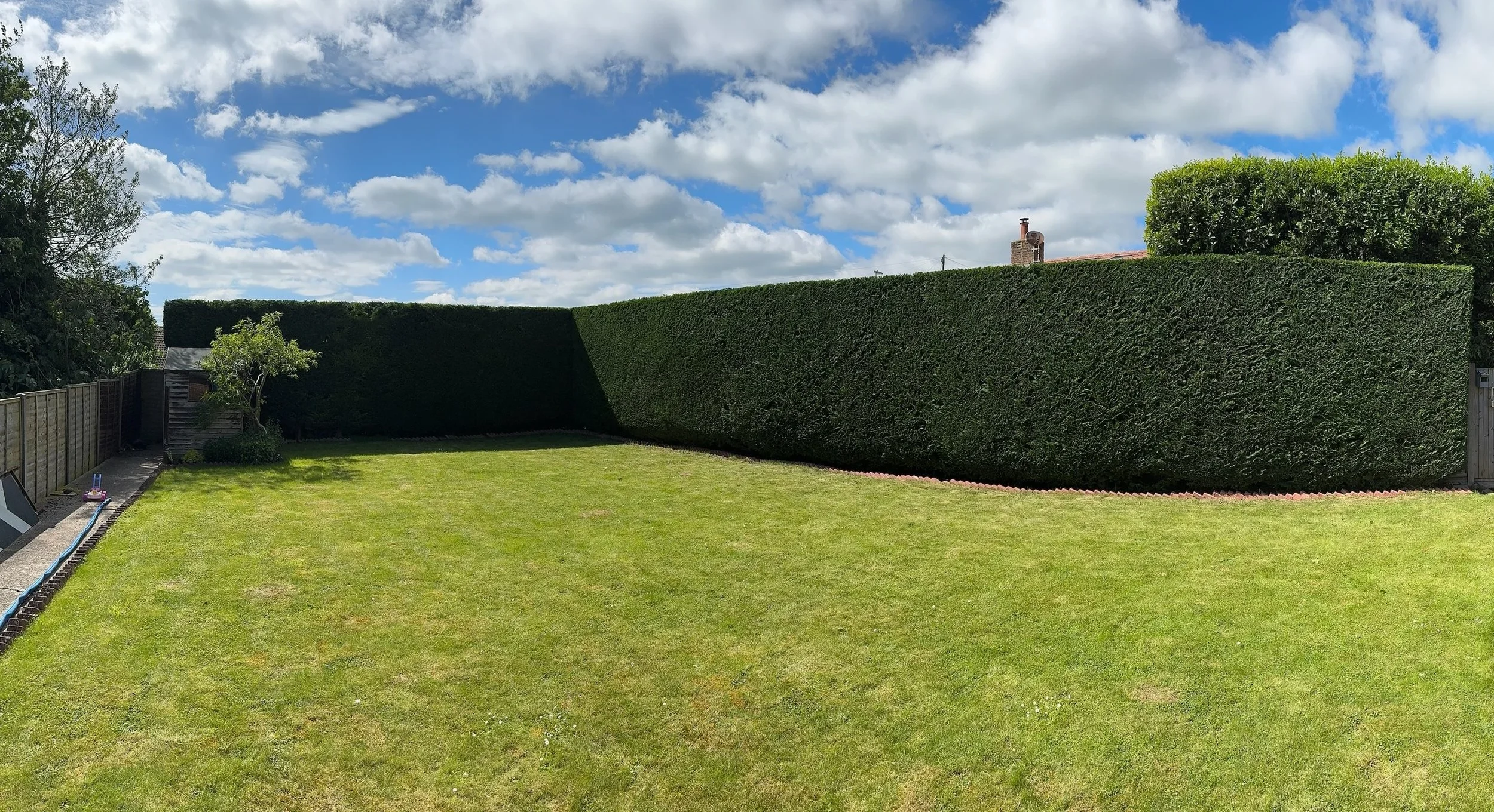 A freshly cut hedge with sharp straight lines and a flat, even top.