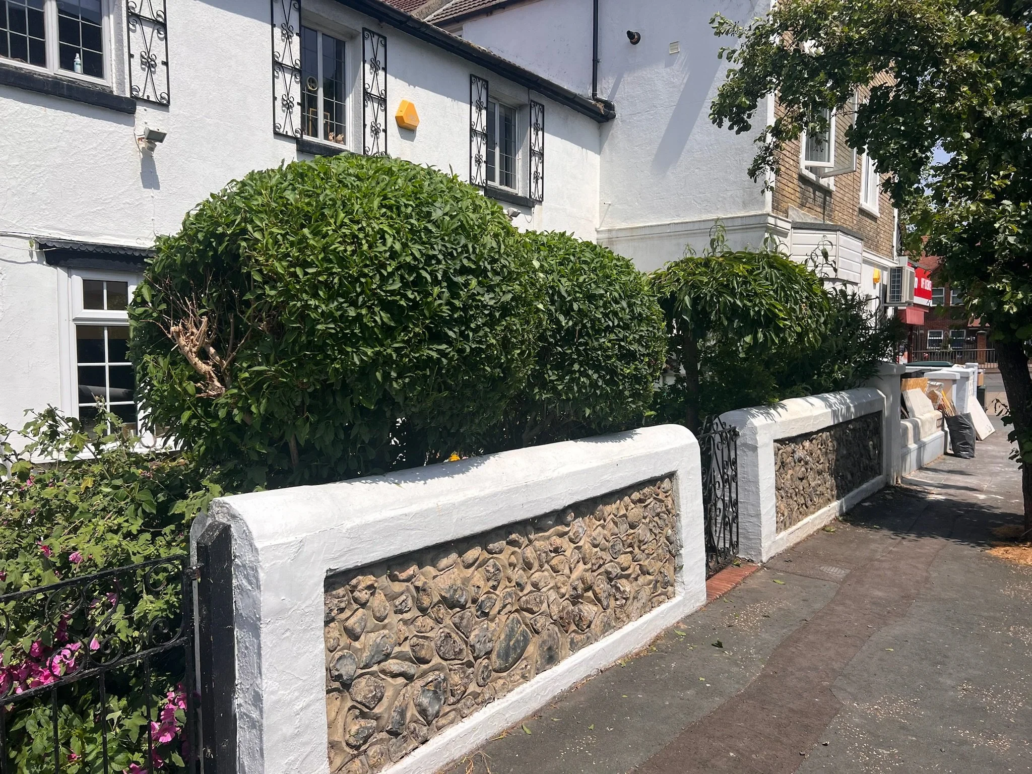Trimmed shrubs in the front garden of a house on a sunny Worthing street.