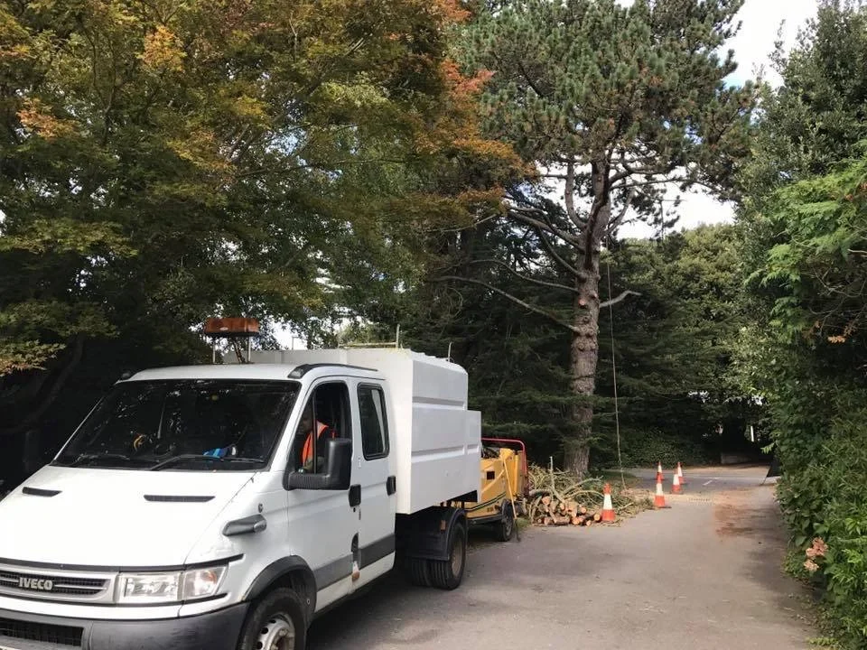 The Arboriscapes van and chipper set up on site with cones out, mid-job.